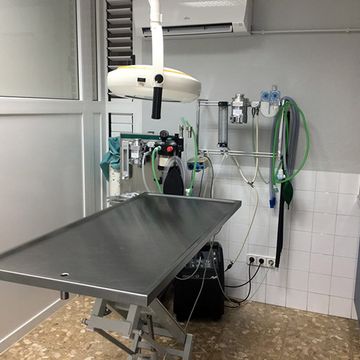 Clínica Veterinaria Kans mesa de operación